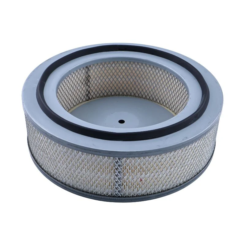 Kaeser Air Filter 6.4139.1